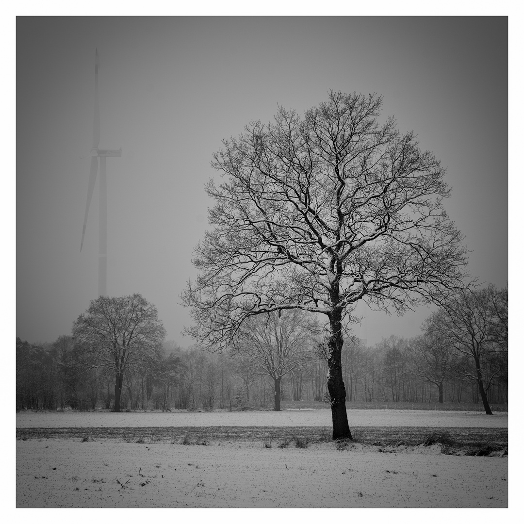 Windkraft im Winter