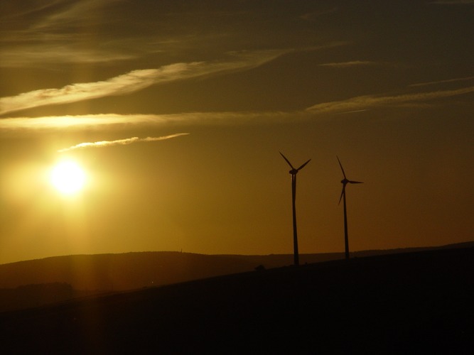 Windkraft in der Abendsonne