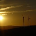 Windkraft in der Abendsonne