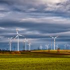 Windkraft in der Magdeburger Börde