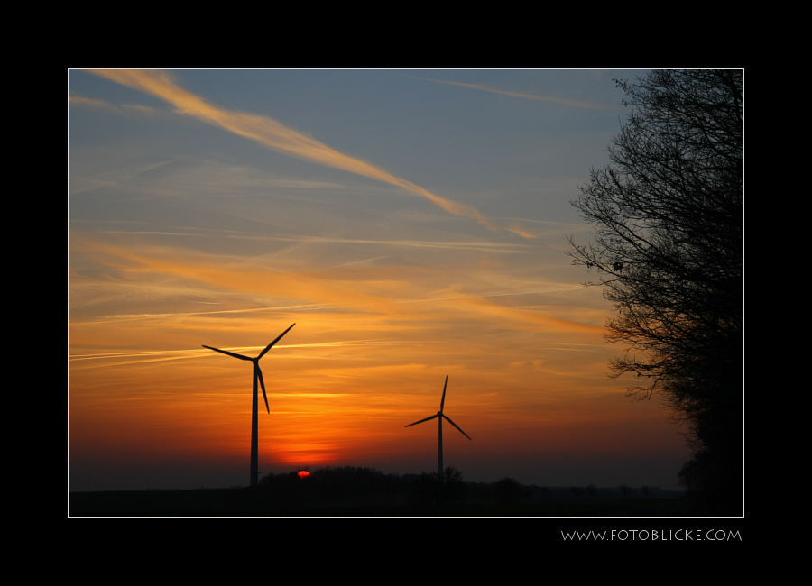 Windkraft - knatschbunt