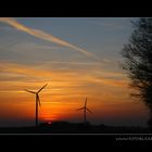Windkraft - knatschbunt