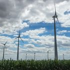 Windkraft meets Biokraftstoff