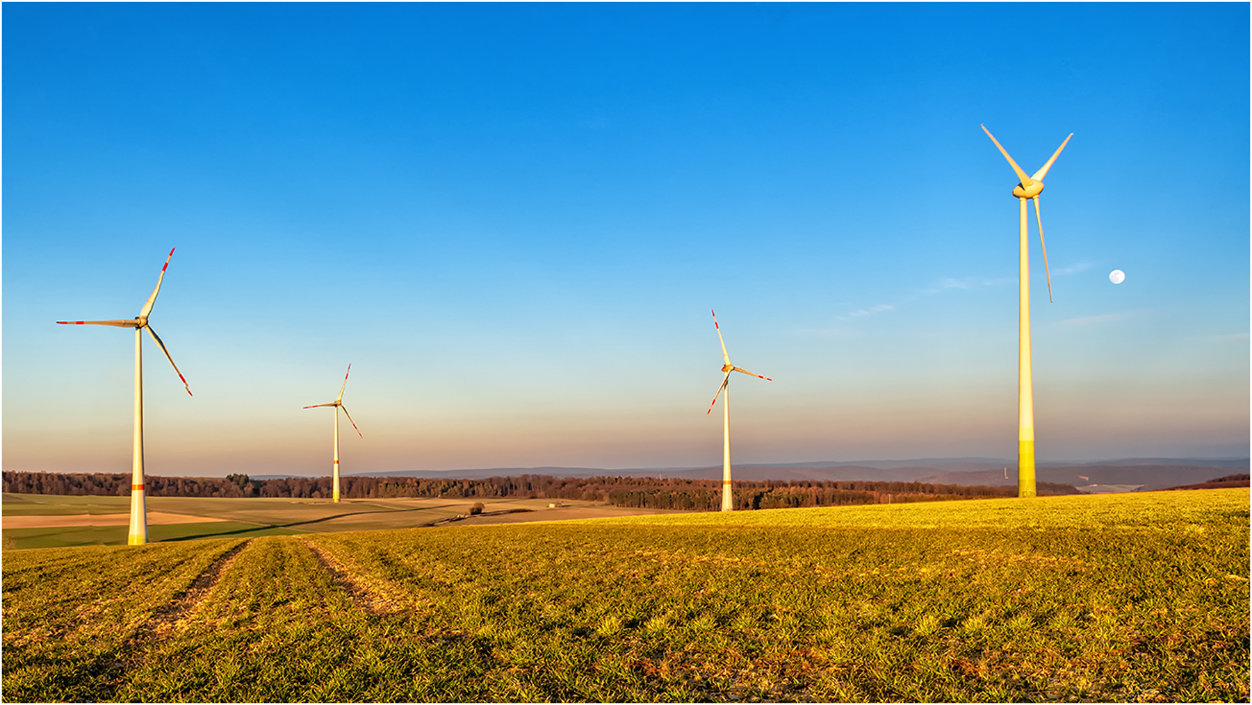 Windkraft Umweltfreundlich ????????