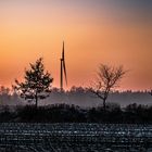 Windkraft und Bäume im Dunst im Winter