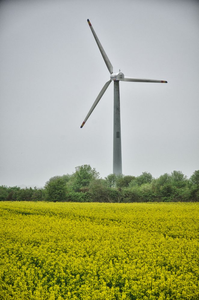 Windkraft und Natur Foto &amp; Bild landschaft, Äcker, felder &amp; wiesen