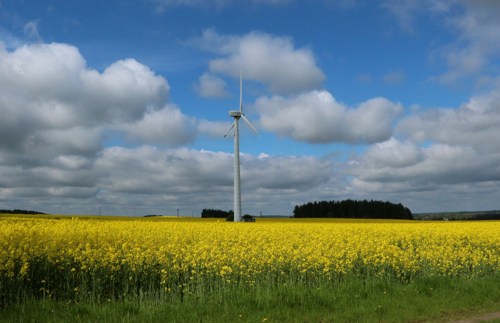 Windkraftanlage auf einem Rapsfeld bei Nienmark