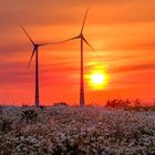 Windkraftanlage / Wind turbines