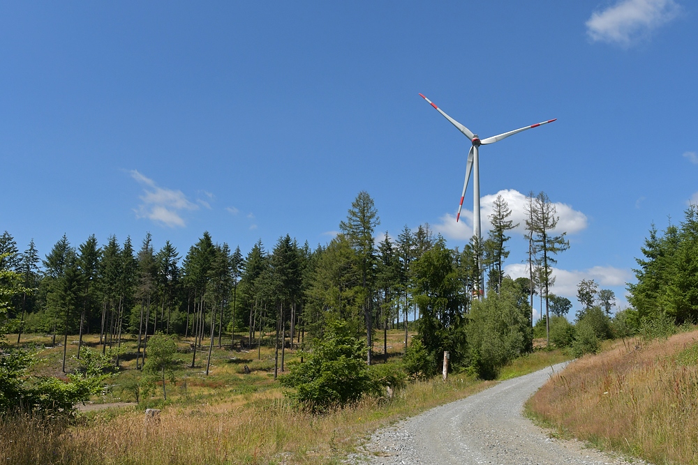 Windkraftanlagen, Bibel – Lehren oder: Wo einmal Wald war 03