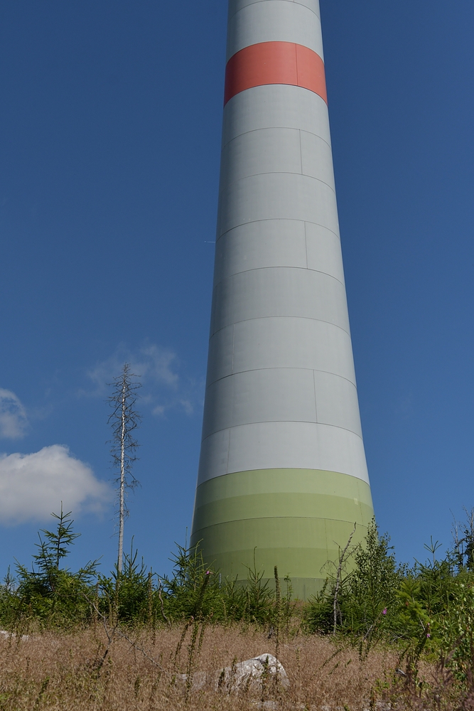 Windkraftanlagen, Bibel – Lehren oder: Wo einmal Wald war 04