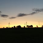 Windkraftanlagen im Abendlicht