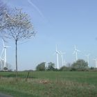 Windkraftanlagen Paderborn Hochebene