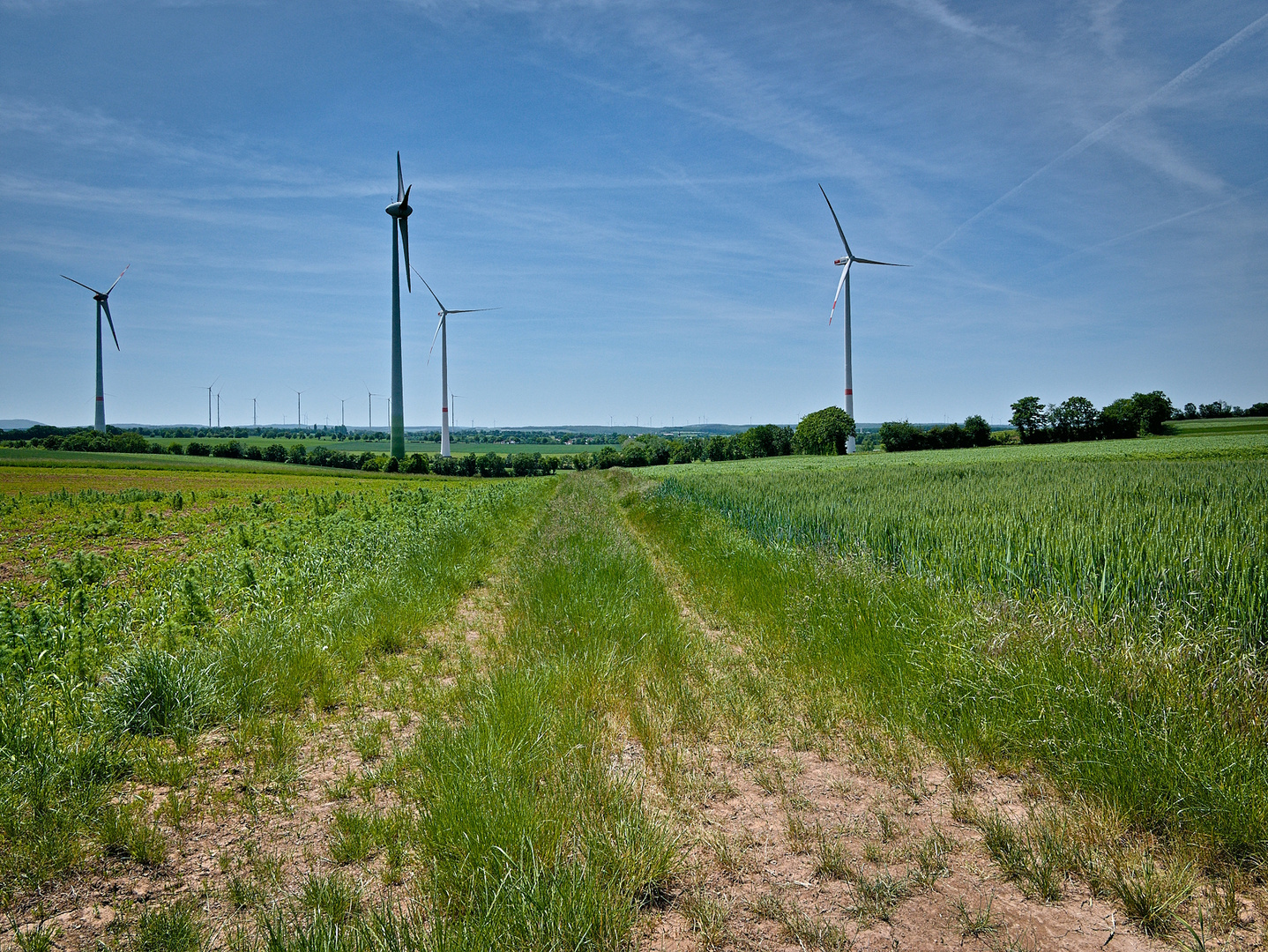 Windkrafträder