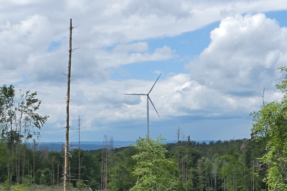 Windkrafträder: Noch nicht einmal die halbe Wahrheit 03