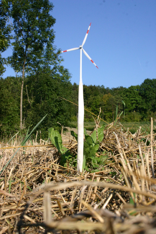 Windkrafttintling