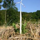 Windkrafttintling
