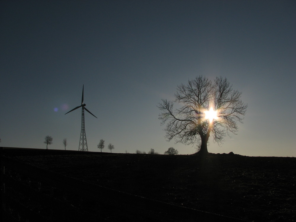 Windkraftwerk & Baum