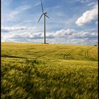 Windkraftwerk im Kornfeld