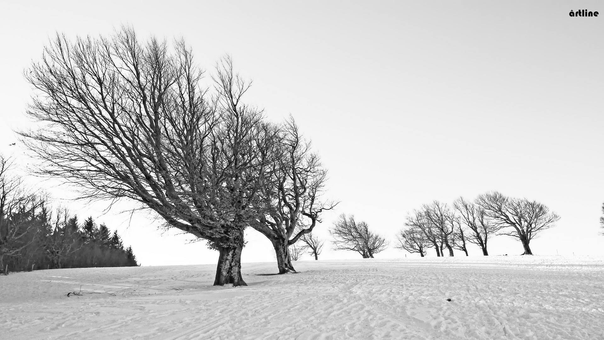 "Windmesser - im Outdoor - Winterstudio"