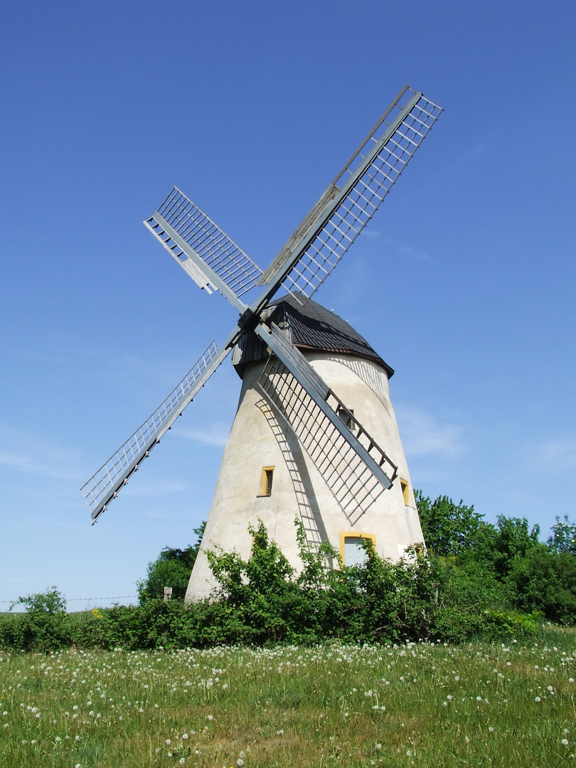 Windmill...