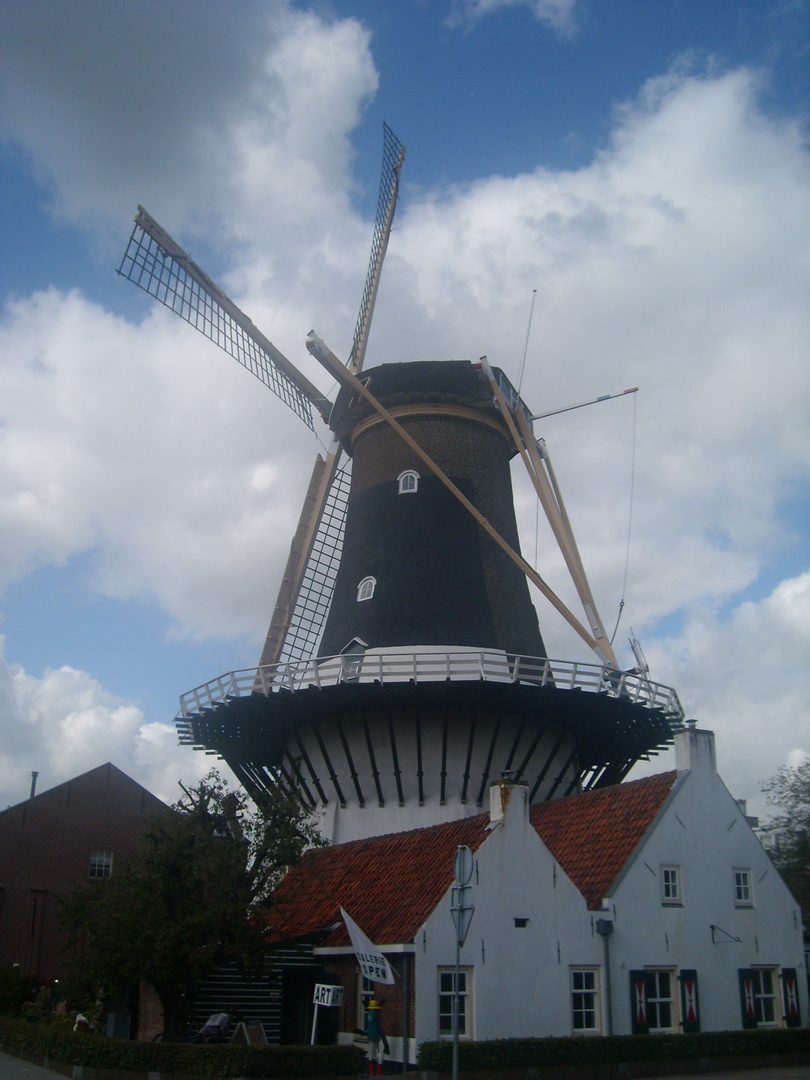 windmill