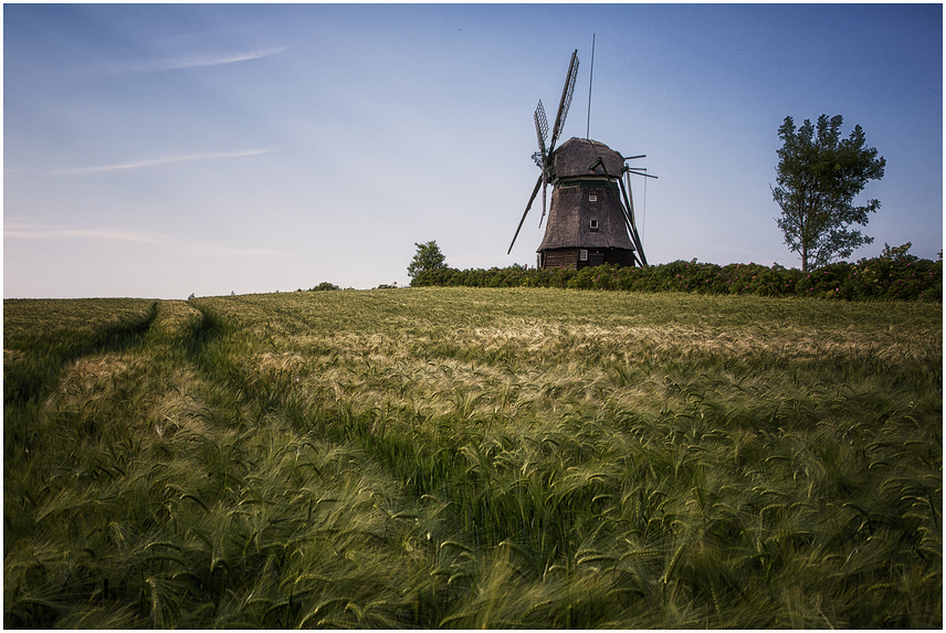 Windmill