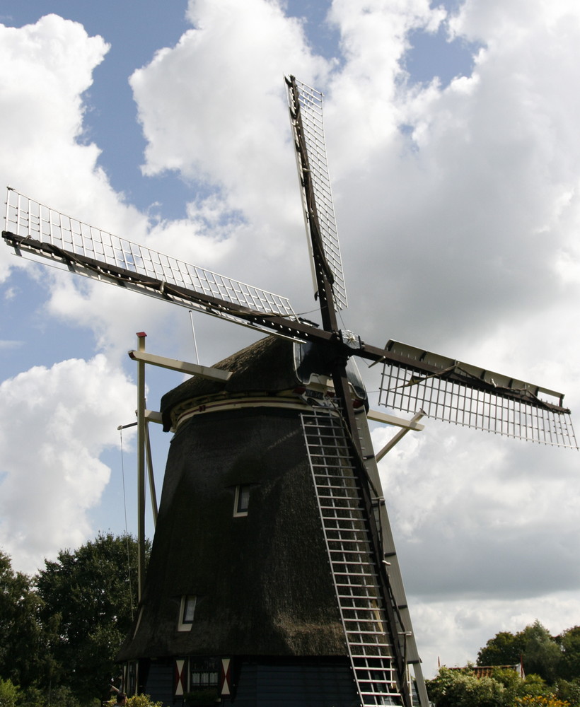 windmill