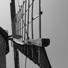 windmill