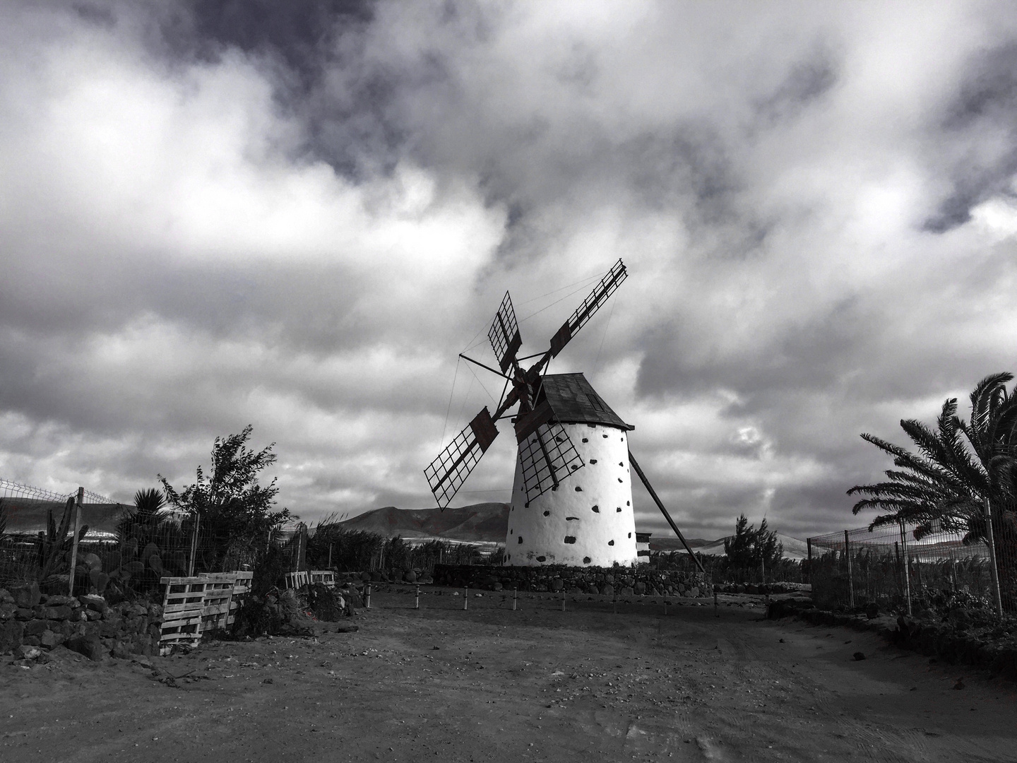 Windmill