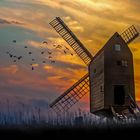 Windmill