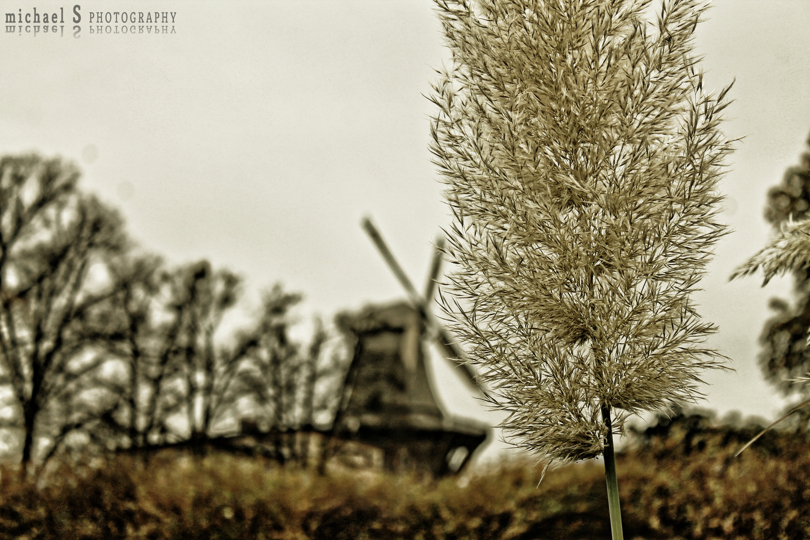 Windmill