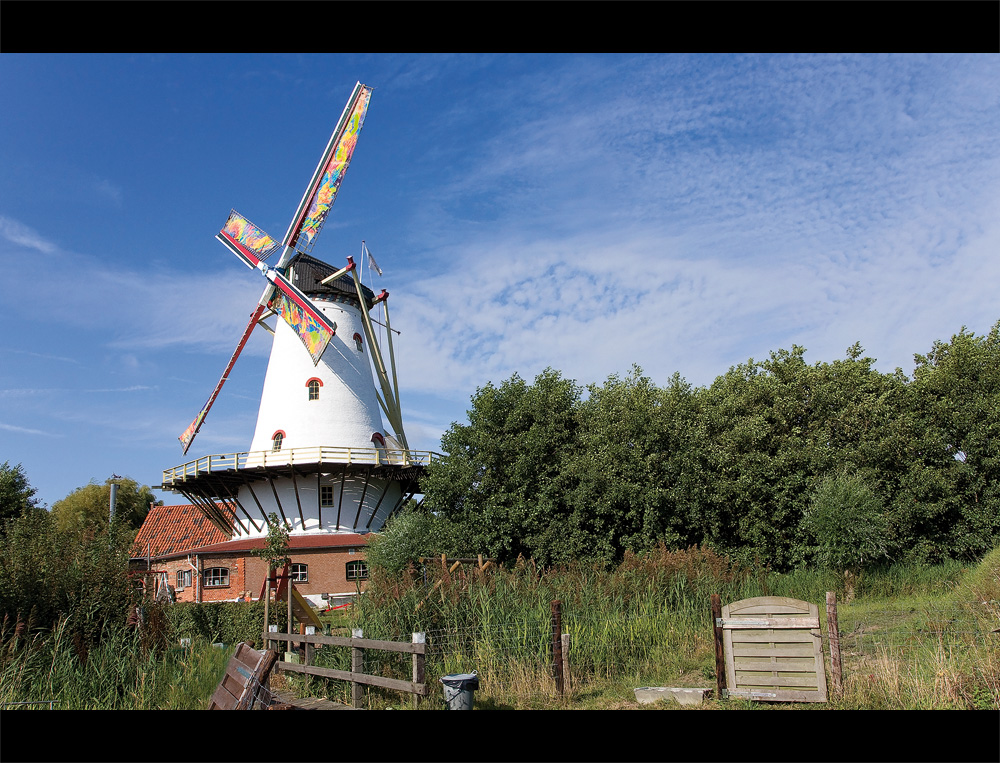 *** windmill ***