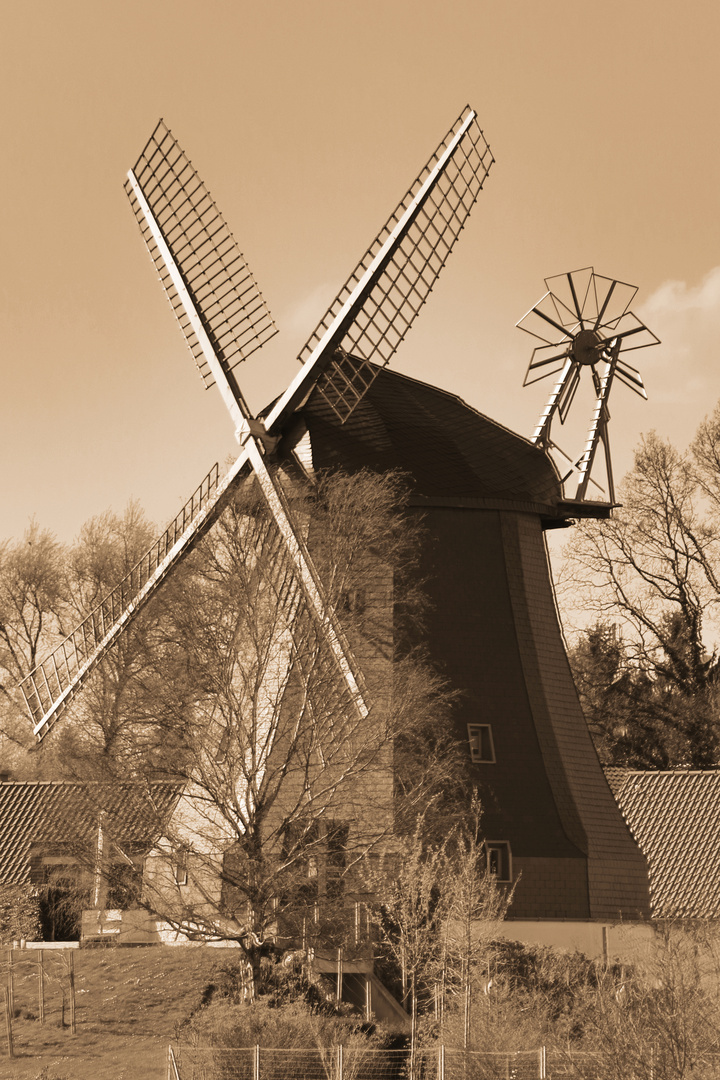 Windmill