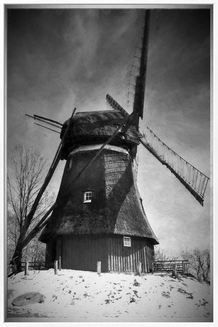 Windmill by Tony