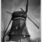 Windmill by Tony