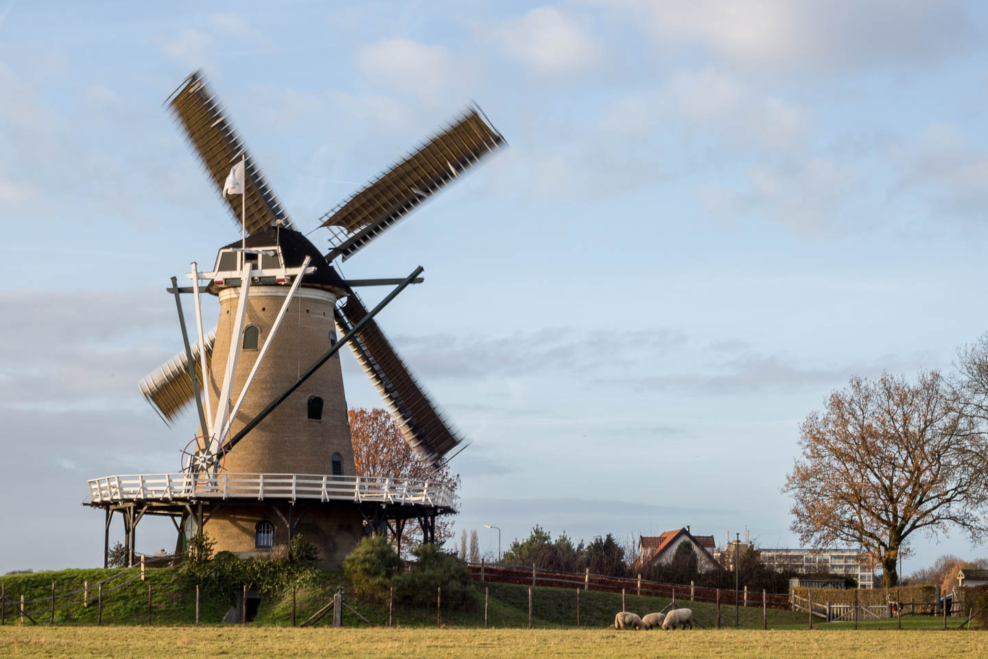 Windmill De Windhond, Soest
