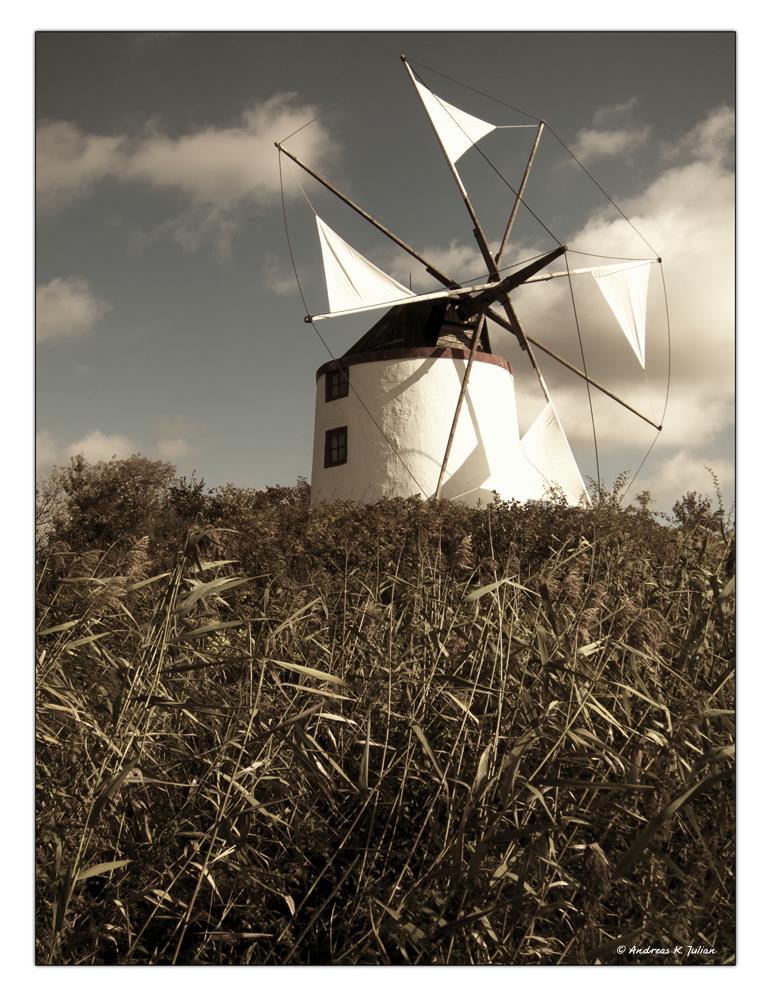 ... windmill II ...