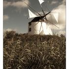 ... windmill II ...