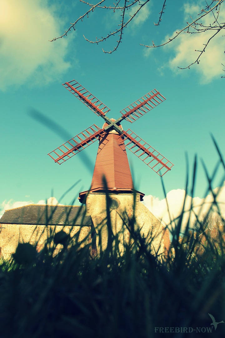 Windmill in Hove(Brighton)