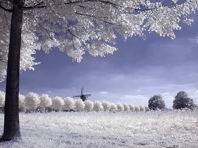 Windmill (IR Channel Shift)