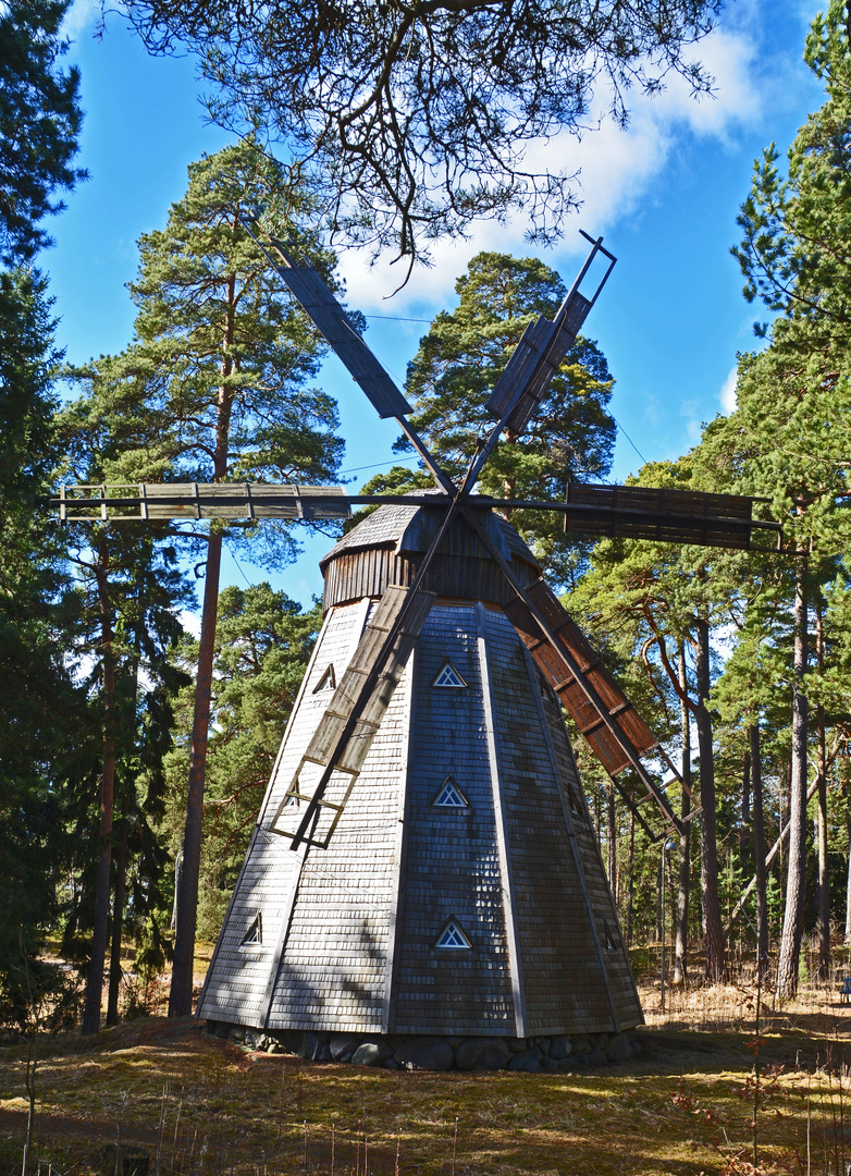 Windmill model 1894