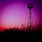 Windmill Silhouette