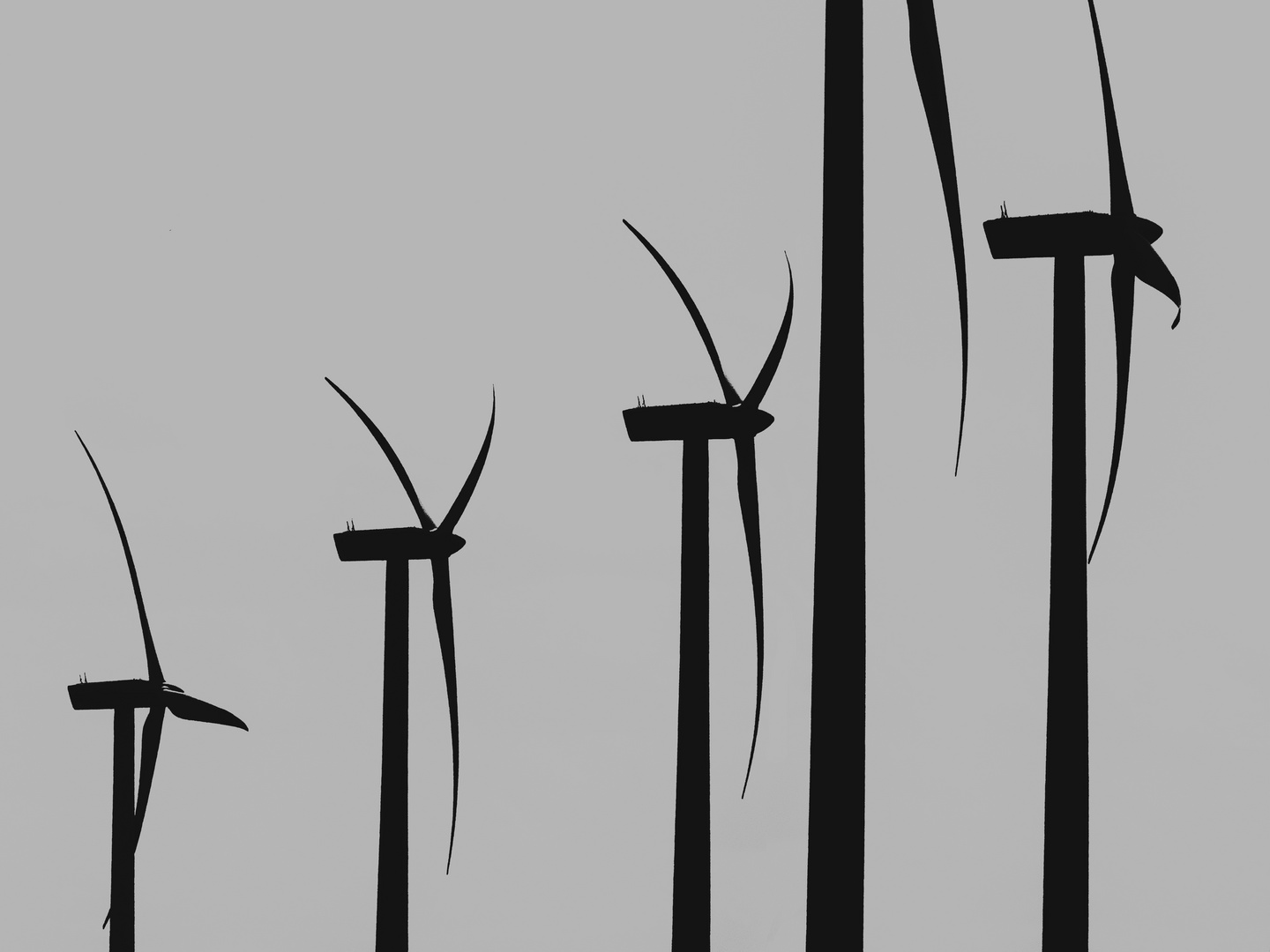 windmills