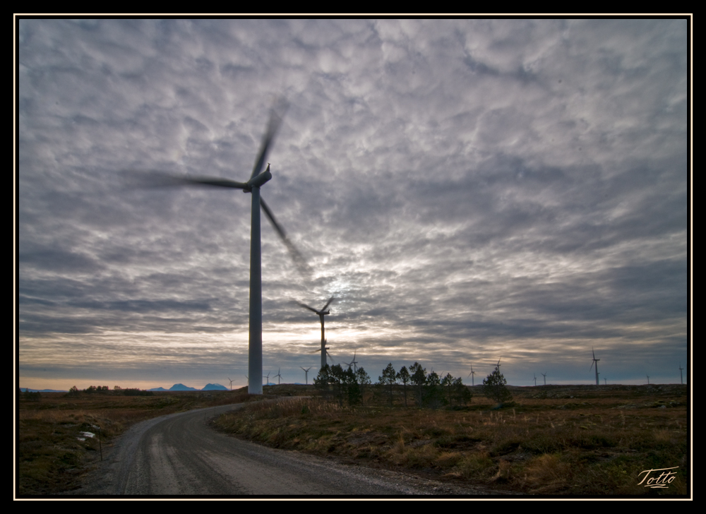 Windmills at Smøla windmill-park,Norway