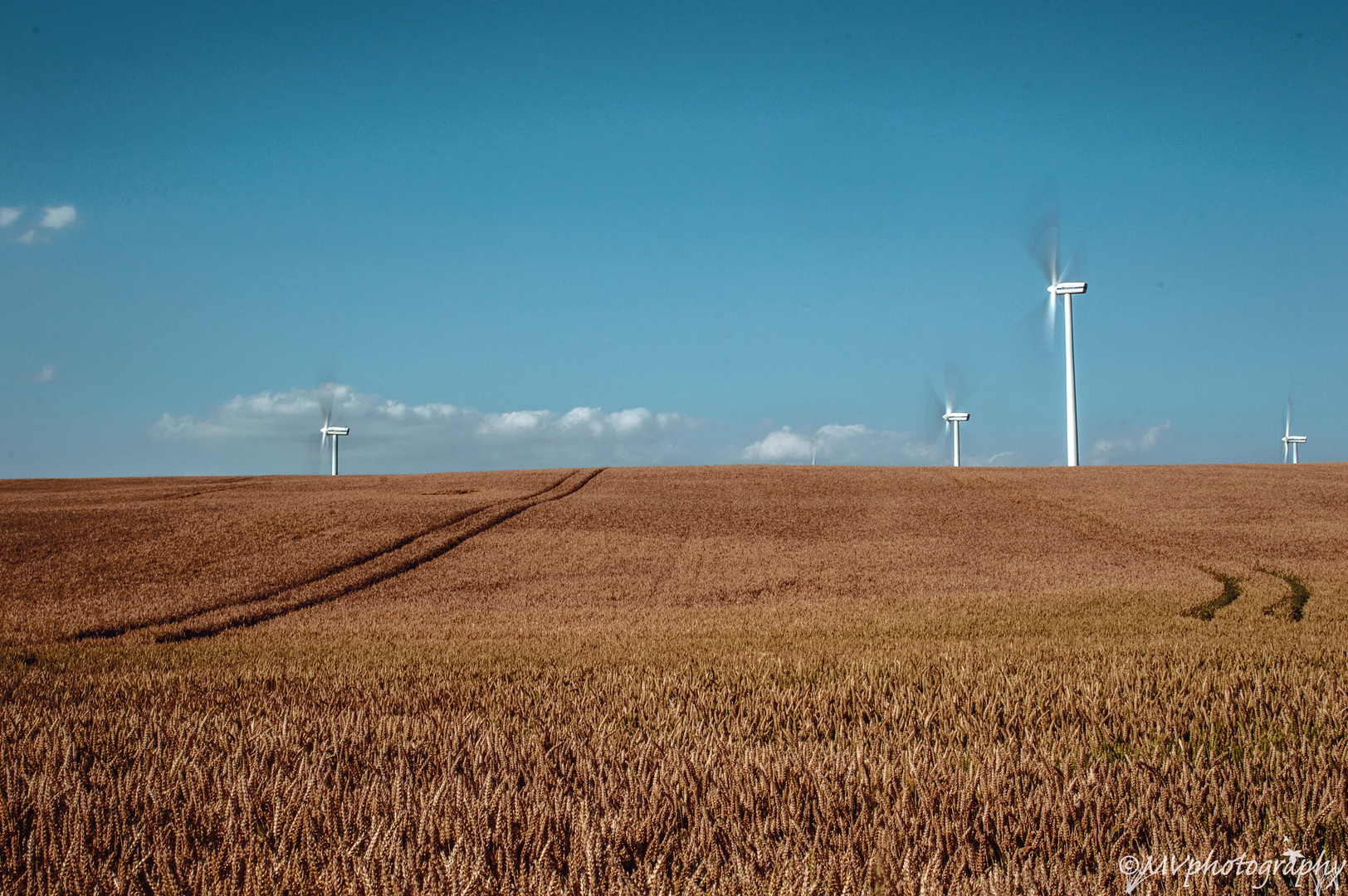 windmills