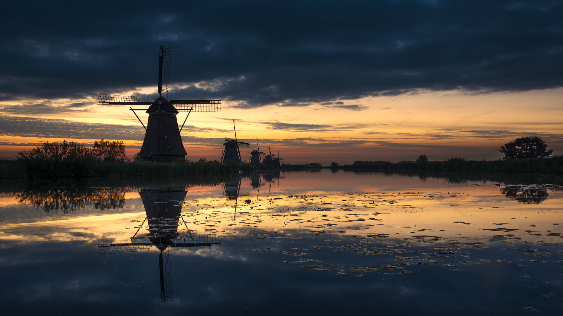 windmills early in the morning