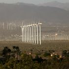 Windmills in Palm Springs