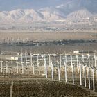 Windmills in Palm Springs