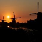 Windmills in sunset