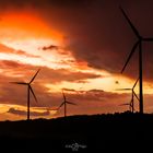 windmills in the sun